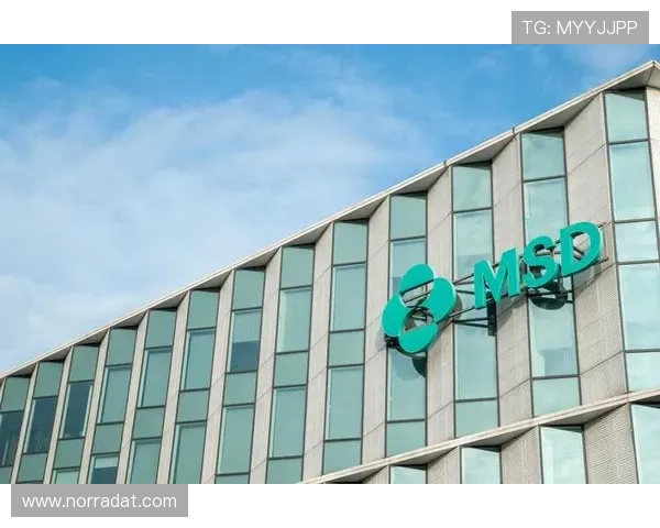 尊龙z6登录页面优化升级,提升用户体验和登录速度的最新措施