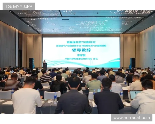 尊龙时凯中国集团人生官网:全面介绍企业发展历程与未来规划